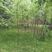 Teren de vanzare in Breaza, Nistoresti