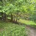 Teren de vanzare in Breaza, Nistoresti