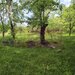 Teren de vanzare in Breaza, Nistoresti