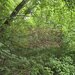 Teren de vanzare in Breaza, Nistoresti